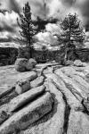 Granite Outcropping At Yosemite NP (BW)