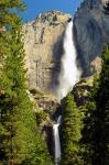 Upper and Lower Yosemite Falls, Merced River, Yosemite NP, California