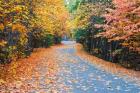 Autumn Along  Mirror Lake Road