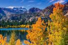 Golden Fall Landscape At June Lake