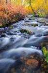 Autumn Colors Along Lundy Creek