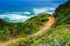 Dirt Trail To Sand Dollar Beach