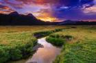 Sunset Over Tuolumne Meadows Along Budd Creek