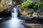 Cascade On Limekiln Creek