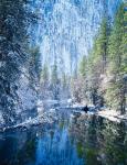 Winter trees along Merced River, Yosemite Valley, Yosemite National Park, California