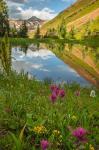 Paradise Divide Pond Reflection