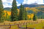 Autumn Colors In The San Juan Mountains, Colorado
