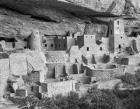 Cliff Palace, Mesa Verde, Colorado (BW)