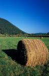 Hay Bales in Litchfield Hills, Connecticut