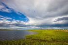 Salt Marsh side of Long Beach in Stratford, Connecticut