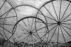 Old Metal Wagon Wheels (BW)