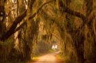 Savannah Wildlife Refuge, Georgia