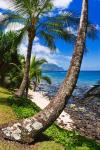 Hideaways Beach, Island Of Kauai, Hawaii