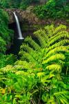 Rainbow Falls, Wailuku River State Park, Hawaii