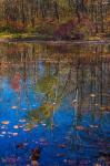 Fall Foliage Reflection In Lake Water