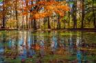 Fall Foliage Reflection In Lake Water