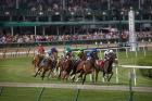 Horses Racing On Turf At Churchill Downs, Kentucky