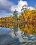 Autumn Scene Of Upper Togue Pond, Maine