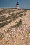 Nantucket Shell in front of Brant Point lighthouse