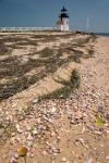 Nantucket Shell in front of Brant Point lighthouse