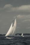 Annual Schooner Festival, Gloucester (BW)