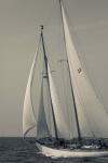 Schooner #22 Sailing, Massachusetts (BW)