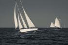 Schooner's Sailing In Cape Ann (BW)