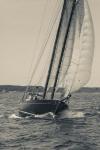 Single Schooner In Cape Ann, Massachusetts (BW)