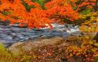 Sturgeon River In Autumn Near Alberta, Michigan