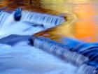 Water Reflecting Fall Foliage, Ontonagon River