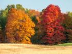 Autumn In The Upper Peninsula Of The Hiawatha National Forest