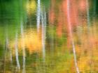 Panned Motion Blur Of An Autumn Woodland Reflection