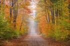 Autumn Road In Schoolcraft County, Michigan