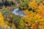 Autumn Color Along Divide Creek In Glacier National Park, Montana