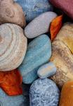 Colorful River Rocks Along The Middle Fork Of The Flathead River, Glacier National Park, Montana