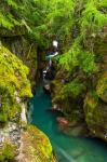 Avalanche Creek, Glacier National Park, Montana