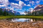 Driftwood And Pond, Saint Mary Lake, Glacier National Park, Montana