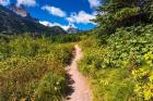 Iceberg Lake Trail, Glacier National Park, Montana