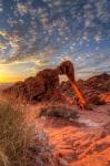 Elephant Rock, Valley Of Fire State Park, Nevada