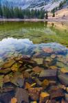 Stella Lake, Great Basin National Park, Nevada