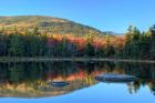 Lily Pond, White Mountain Forest, New Hampshire