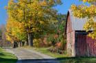 Rural barn, farm in autumn, New Hampshire