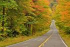 Roadway through White Mountain National Forest, New Hampshire