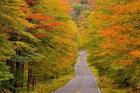 White Mountain National Forest, New Hampshire