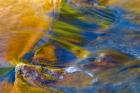 Fall Reflections in Stream, White Mountain National Forest, New Hampshire