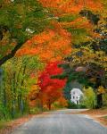 Road lined in fall color, Andover, New England, New Hampshire