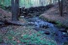 Banks of Lamprey River, National Wild and Scenic River, New Hampshire