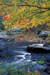 Packers Falls on the Lamprey River, New Hampshire