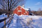 Pony and Barn near the Lamprey River in Winter, New Hampshire