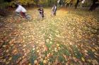 Riding Bikes in Late Fall, New Hampshire